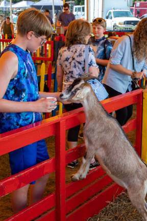 This goat eagerly greets a boy with food. (Photo by Aja Brandt)