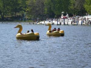 Tomahawk Lake Waterpark hosts job fair today