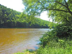 The Upper Delaware River facing Pike County (Photo by Pamela Chergotis)