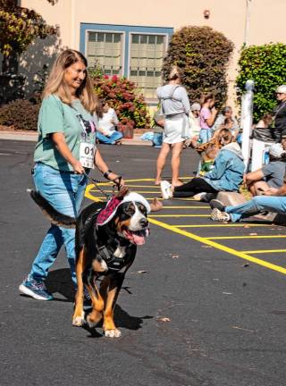 Kate Lynch with Moose, a Great Swiss Mountain Dog, who was rescued.