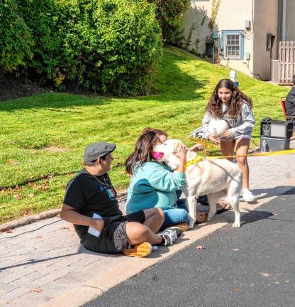 Dog Show &amp; Parade raises funds for shelters