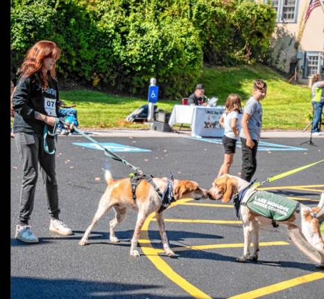 DS1 Dogs check each other out during the Lake Mohawk Country Club’s annual Dog Show &amp; Parade on Sunday, Sept. 22 in Sparta. (Photo by Nancy Madacsi)