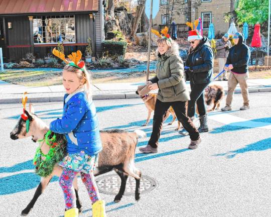 Members of the Hearts and Hooves 4-H Goat Club march in the parade.