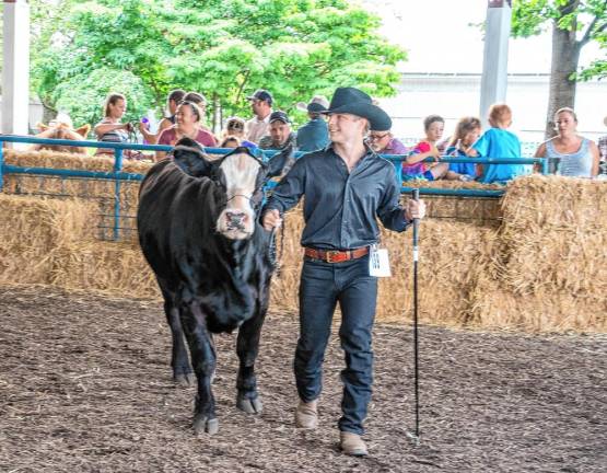 <b>Cow judging. (Photo by Nancy Madacsi)</b>