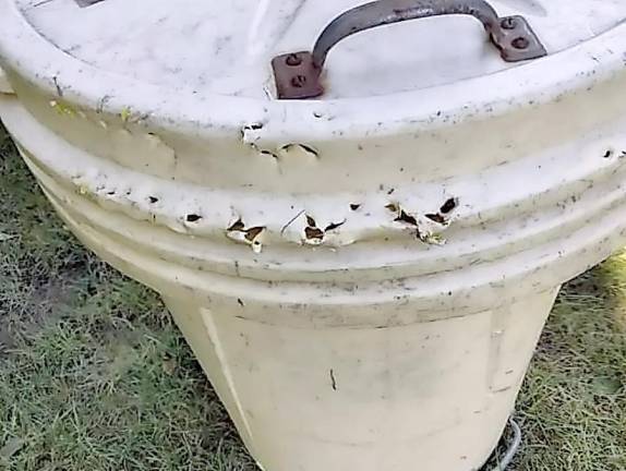 A “bear-proof” garbage can in Vernon, NJ.