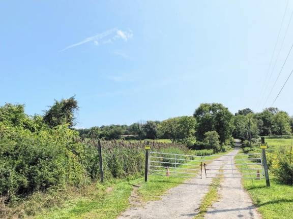 The 265-acre property at 1 Lasinski Road has been declared an area in need of redevelopment.