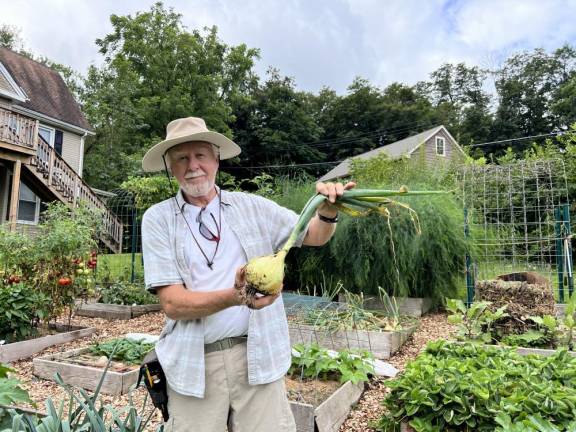 <b>Lafayette, N.J. gardener Russell Anema holds a freshly harvested onion. Photo by Holly Odgers.</b>