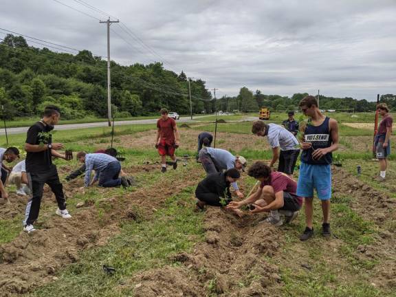 Students in the horticultural science program at SCCC plant crops on the Student Farm. (Photo provided)