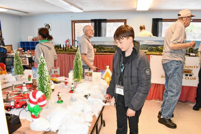 Nicholas Phillips of Hardyston looks at a display.