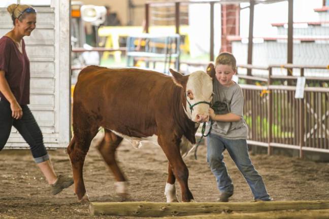 Crossword Puzzle: Can you find these animals at the fair?