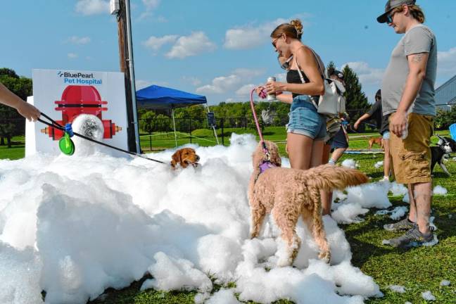 <b>Dogs and their owners at the Pupstock Festival on Saturday, Aug. 24 at the Sussex County Fairgrounds. (Photo by Maria Kovic)</b>