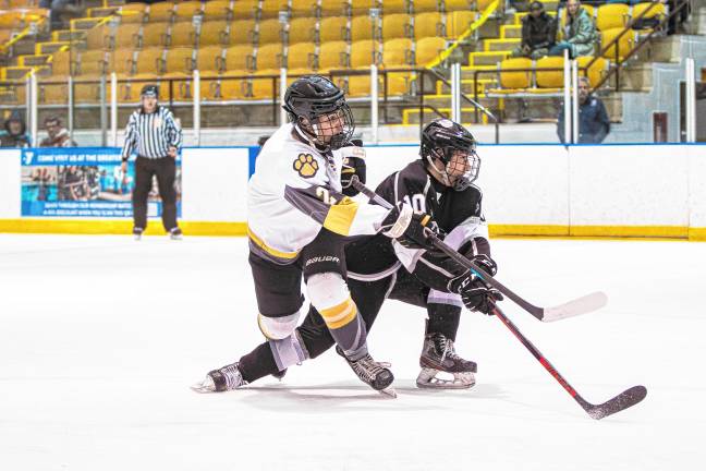 Photos: KJS co-op ice hockey team in state final