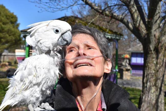 Rebecca Vives with Cinco, an umbrella cockatoo that came to the sanctuary from a neglectful situation. Photo by Becca Tucker