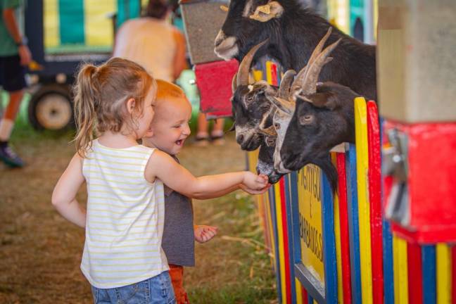 Crossword Puzzle: Can you find these animals at the fair?