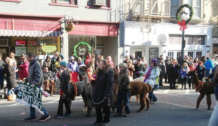 What's a magical parade without alpacas, presented by the 4-H Club