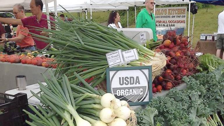 Sparta Farmers Market (Twitter photo)